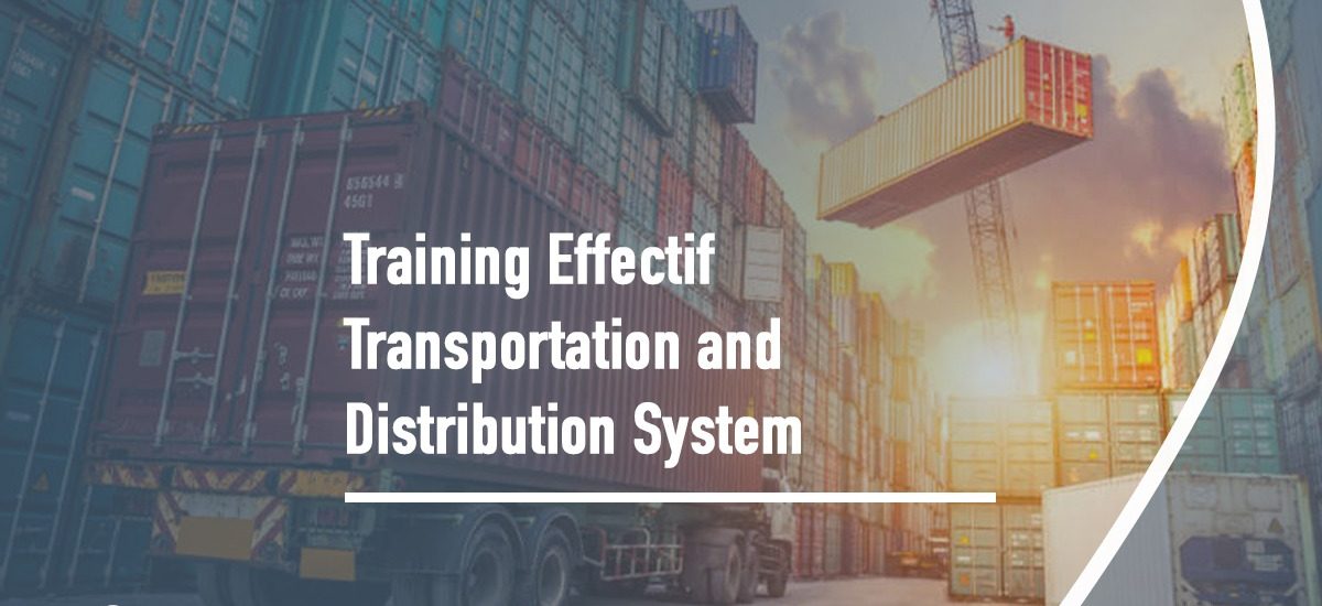 Effectif Transportation and Distribution System