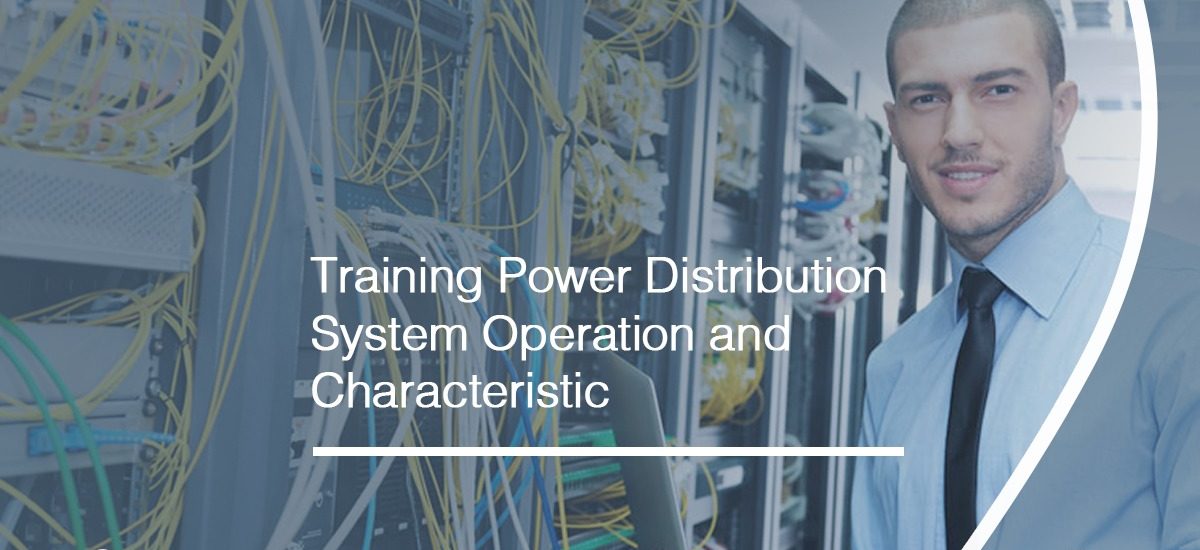 Power Distribution System Operation and Characteristic